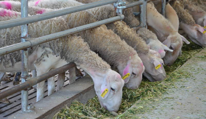 1641464026271100.jpg fab5fcc9e9f7be2f141099d07365ff96.jpg